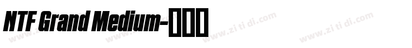 NTF Grand Medium字体转换